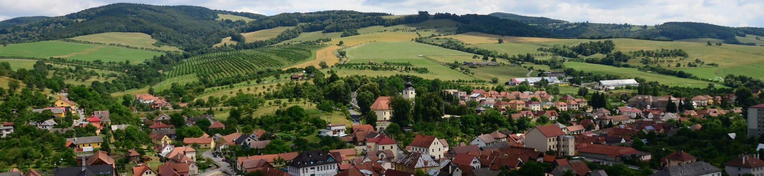 Odbor Služby města Brumov-Bylnice